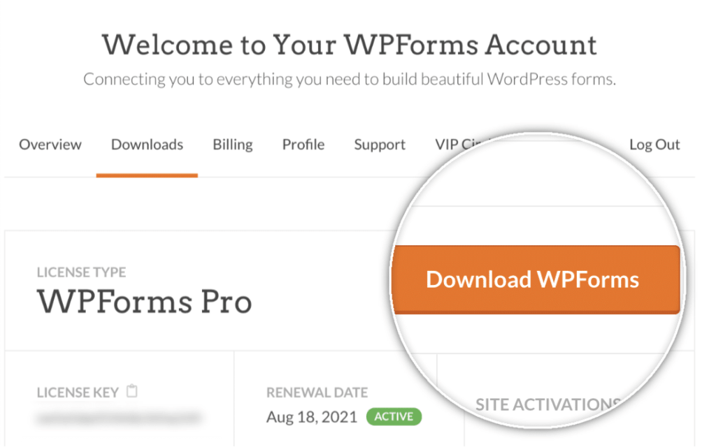下载 WPForms 按钮