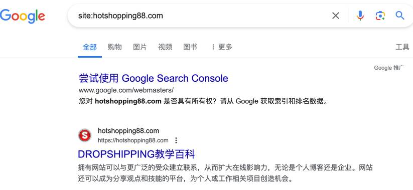 使用 site 命令：搜索运算符查看哪个网站的页面已在 Google 上